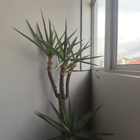 Appartement Baixa24 - Bolhao With Sunset Rooftop Oporto