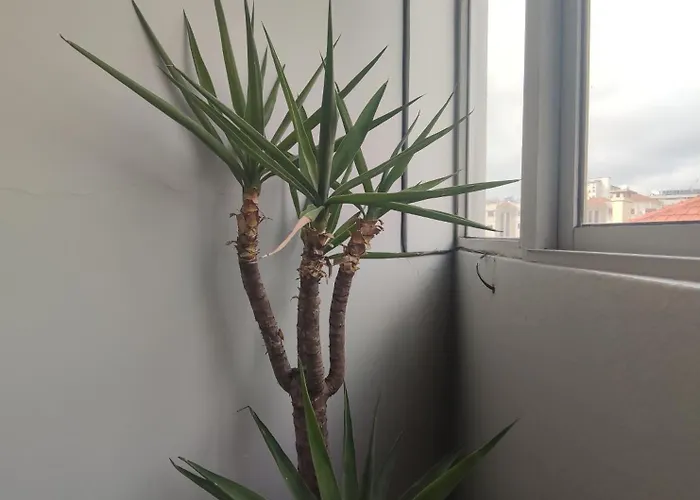 Appartement Baixa24 - Bolhao With Sunset Rooftop Oporto